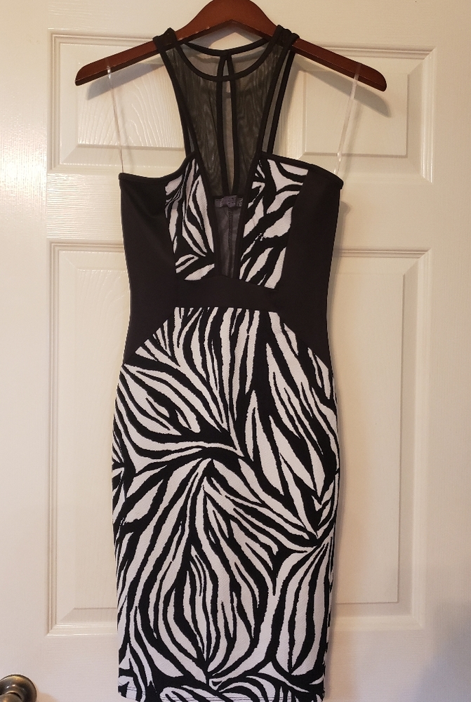 Zebra Print Dress
